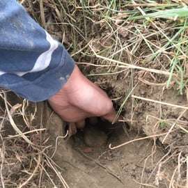 Piedmont: Truffle Hunting
