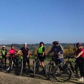 Gavi: Excursión en bicicleta eléctrica con cata de vinos