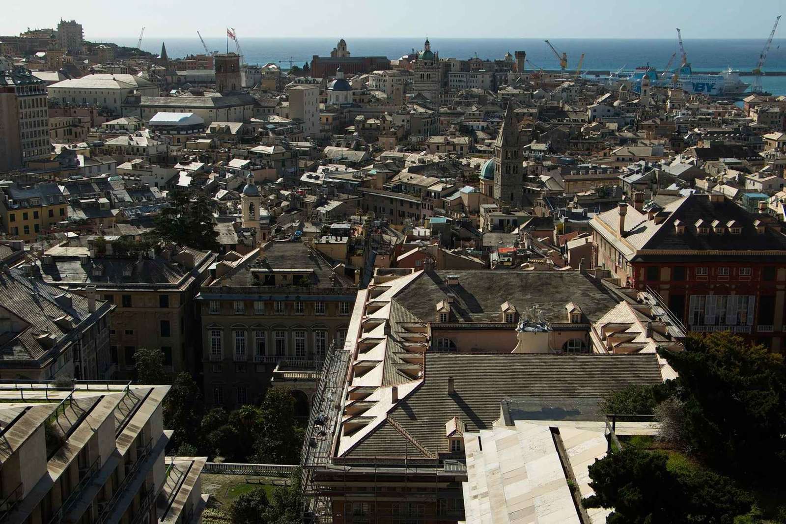 Private Genoa City Tour by Car: Old Town, Port, Views