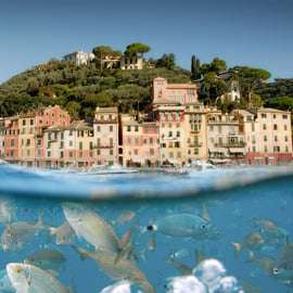 Excursion en bateau à Portofino depuis Gênes, demi-journée