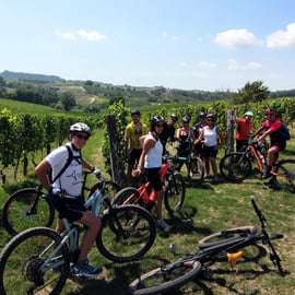Gavi: Excursión en bicicleta eléctrica con cata de vinos