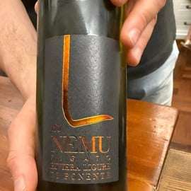Wine Tasting Experience in Genoa: the Kings of Italian Wine