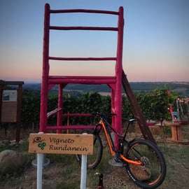 Gavi: Excursión en bicicleta eléctrica con cata de vinos