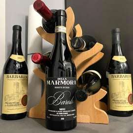 Wine Tasting Experience in Genoa: the Kings of Italian Wine