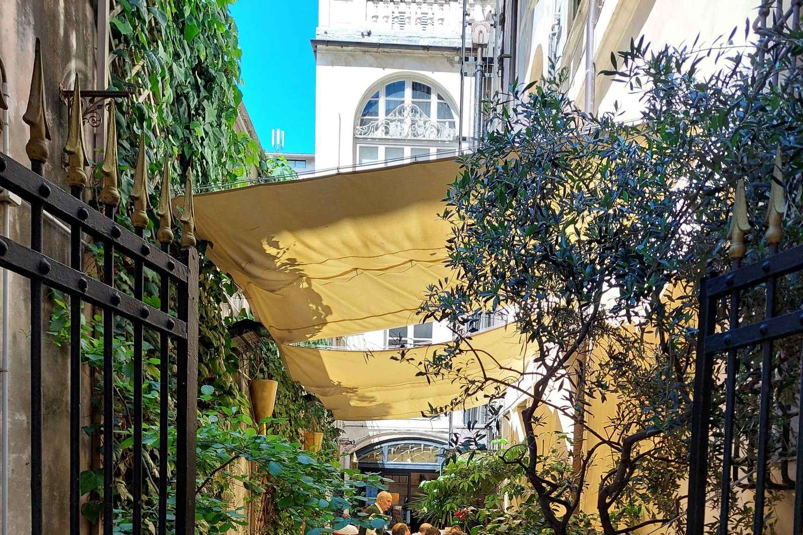 That's All Local Genoa Tour - Smakbitar och berättelser