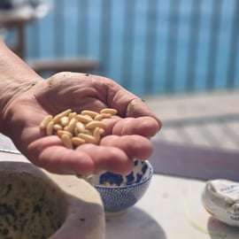 Cours de cuisine ligure à Bogliasco, terrasse sur la mer