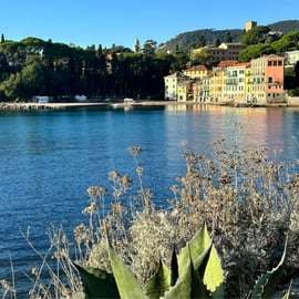 Portofino et Santa Margherita au départ de Gênes avec chauffeur local