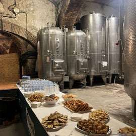Castelo de Tagliolo Monferrato: visita com o marquês e vinhos