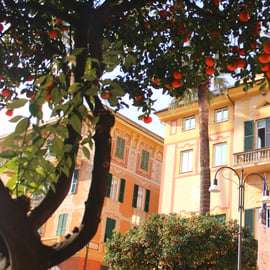 Santa Margherita Ligure Walking Tour with Villa Durazzo