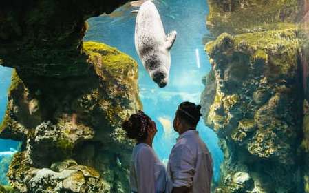 Genoa: Aquarium of Genoa Timeslot Entry Ticket