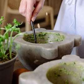 Pesto-Making Experience with Aperitif near Portofino